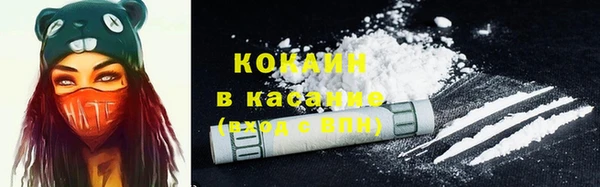 шишки Богданович