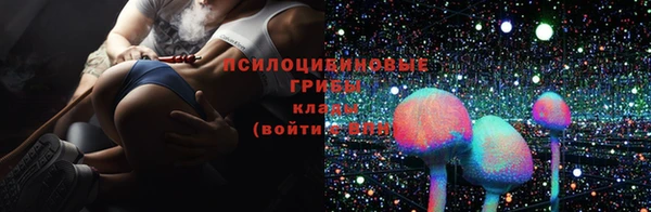 шишки Богданович
